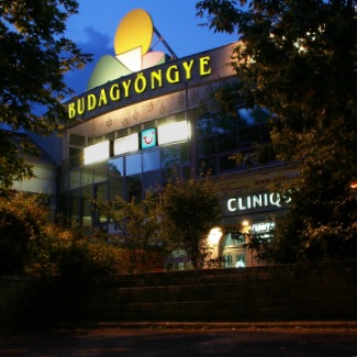 Budagyöngye, amire mindig számíthatsz, ha rádjön a szapora