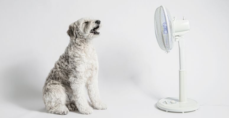 7 tipp, hogy lehűtsd magad egy forró nyári szaráshoz